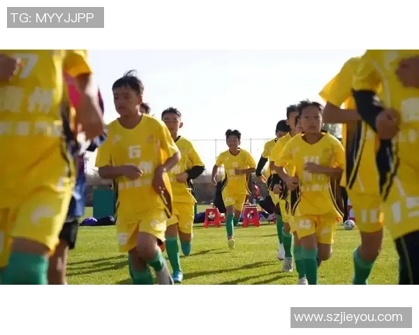 普陀约足球：在绿茵场上追逐梦想与友谊的激情之旅