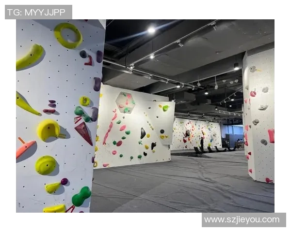 攀岩心理素质实力榜单权威发布揭示顶尖选手心理优势与挑战